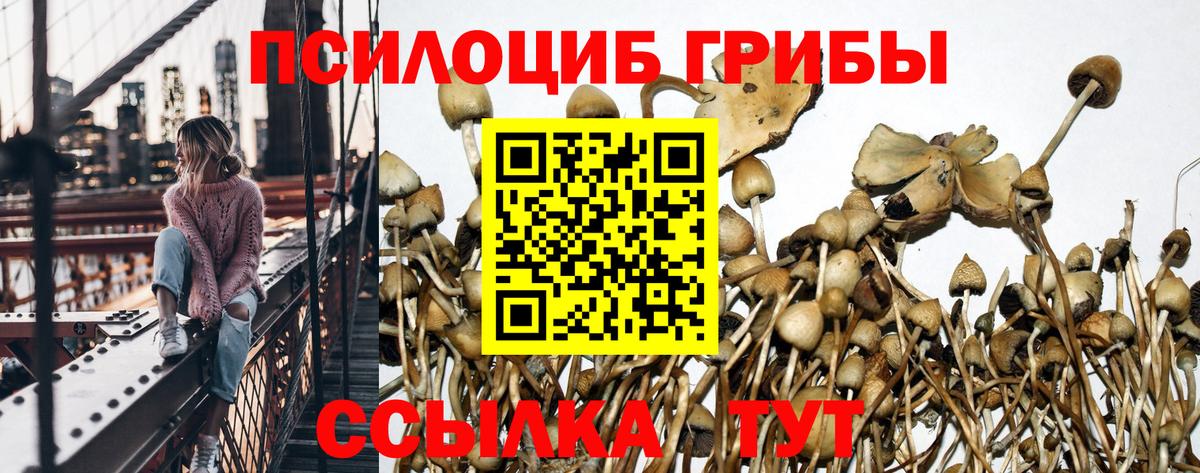 Псилоцибиновые грибы мухоморы Волгоград