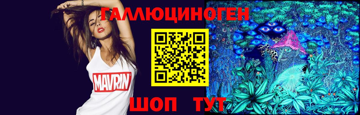 закладки  Вход с VPN  Волгоград  Галлюциногенные грибы мицелий 